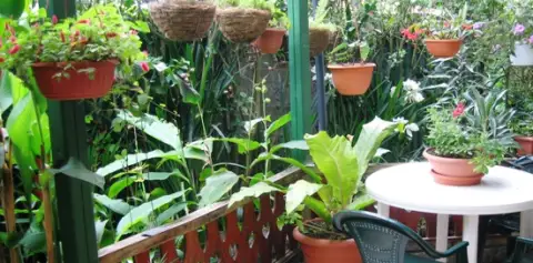 Hotel Los Jardines Monteverde