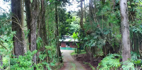 Cabanas Los Pinos Costa Rica