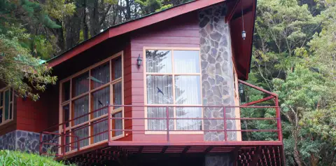 Cabanas Los Pinos