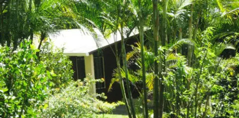 Cabanas Los Pinos Monteverde