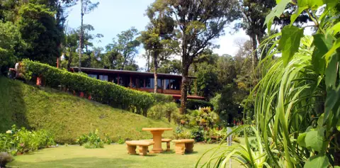 Mountain Suites Trapp Family Lodge Monteverde