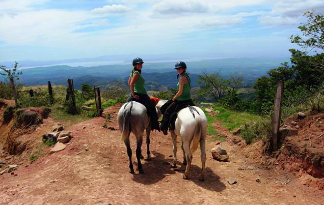 Mountain and Farm View Horseback Ride