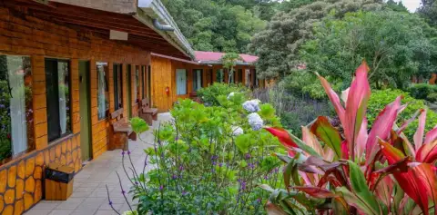 Gardens Hotel El Bosque