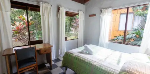Room Hotel El Bosque