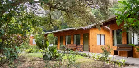 Hotel El Bosque Exterior Garden