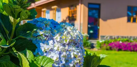 Garden Flowers Hotel Las Orquideas