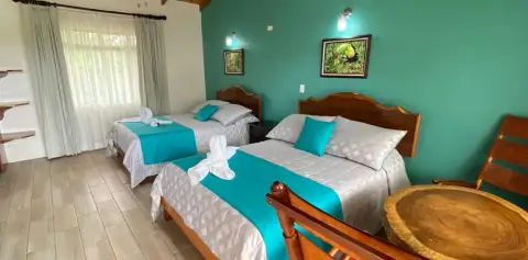 Green Twin Room Hotel Las Orquideas