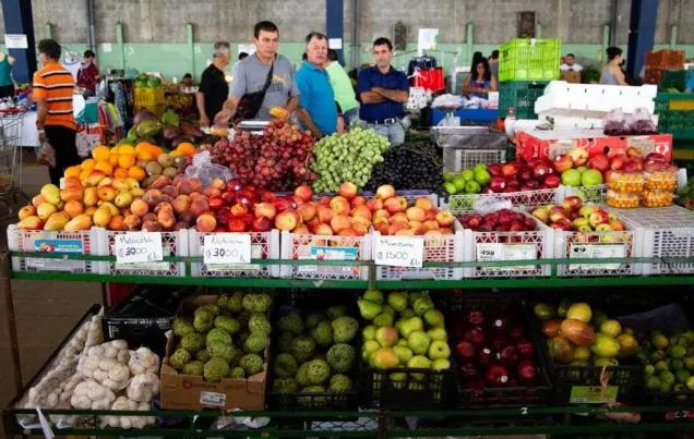 Farmers Market Monteverde Costa Rica