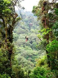 Tourism in Monteverde Tourism in Monteverde Costa Rica