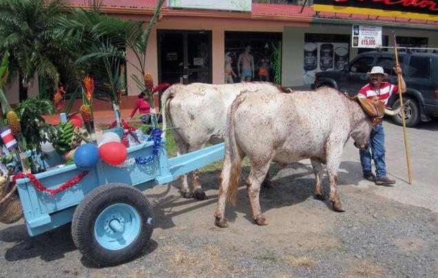 Independence Day Monteverde Costa Rica