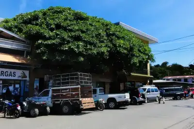 The Ultimate Guide to Monteverde Useful Info about Visiting Monteverde Costa Rica