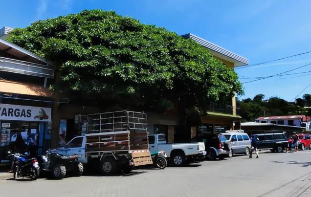 The Ultimate Guide to Monteverde Useful Info about Visiting Monteverde Costa Rica