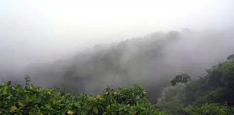 Misty Forests Monteverde Costa Rica