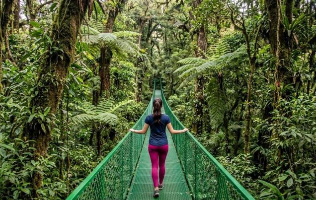 Monteverde Cloud Forest Reserve
