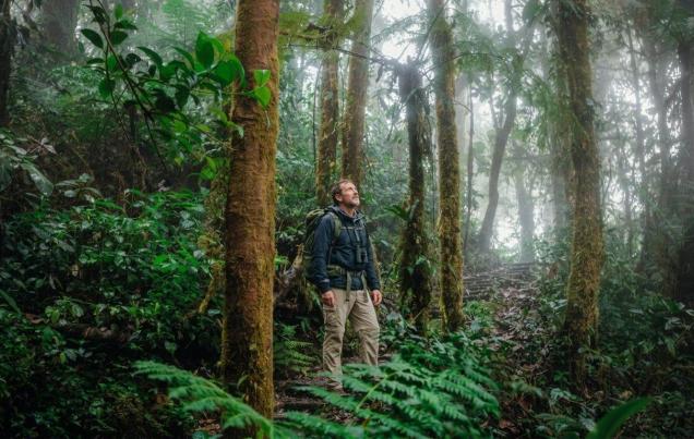 Monteverde Cloud Forest Hikes (day and night tours)