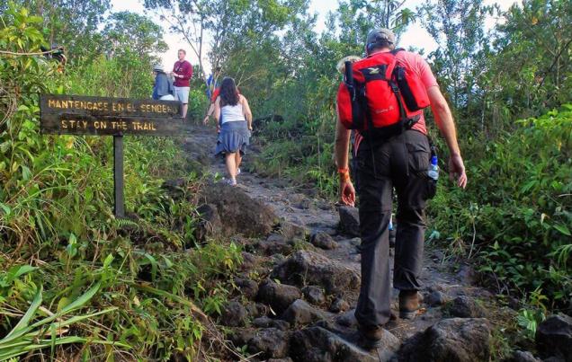 5 Day Hiking Cultural and Wildlife Tour Costa Rica