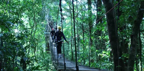 Aventura Canopy Tour Monteverde Costa Rica Bridges