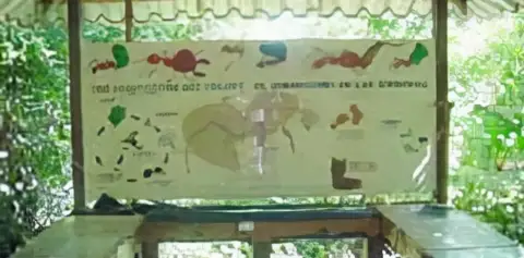 Leafcutter Ants at Monteverde Butterfly Garden