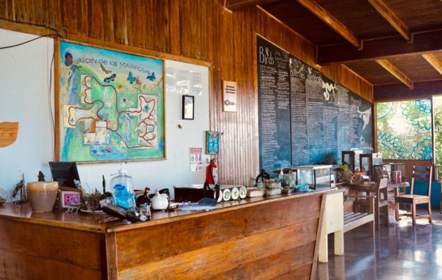 Monteverde Volunteer Opportunities