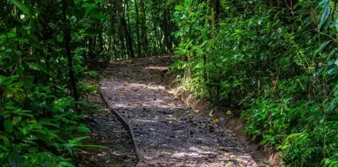 Monteverde Tours Trails