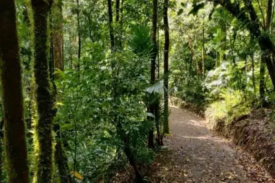7 Days in Costa Rica Chasing Waterfalls