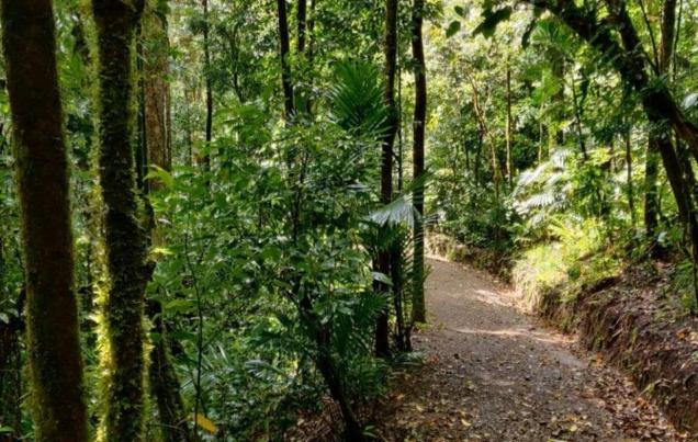 7 Days in Costa Rica Chasing Waterfalls