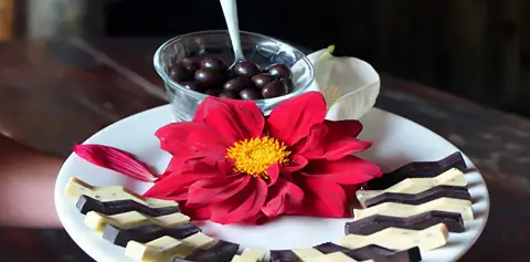 Tasting Don Juan Chcolate Monteverde Costa Rica