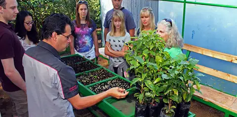 Learning about Coffee Monteverde