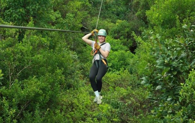 2 Day Highlights Monteverde Cloud Forest Costa Rica
