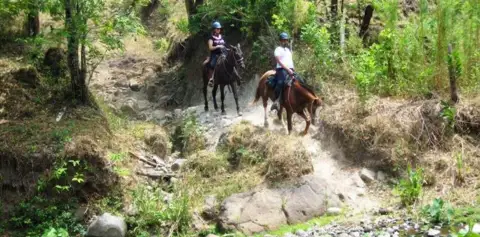 Costa Rica Horse Tours