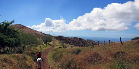 Horse Ride all day cowboy ride monteverde
