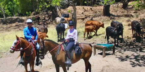 Monteverde All Day Coboy Ride -with cattle