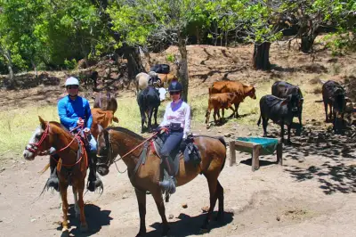 Costa Rica Horseback Riding All Day Cowboy Ride