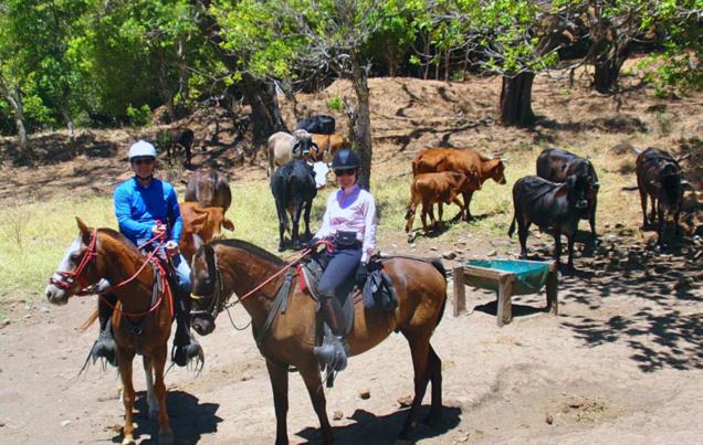 Costa Rica Horseback Riding  All Day Cowboy Ride