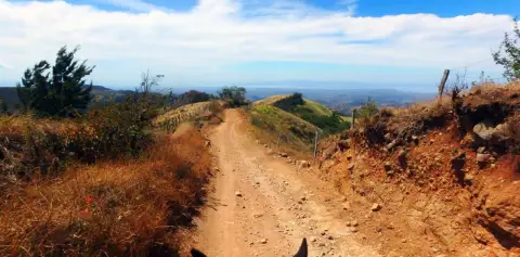 Campesino Trails and Gulf Views Horseback Riding Monteverde