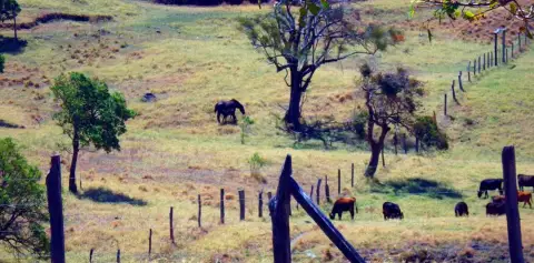 Farms Views on Horseback Costa Rica