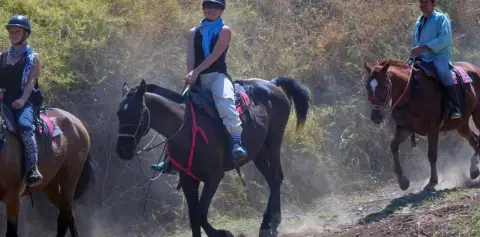 Horse Trek Monteverde 3 hour horseback ride in Costa Rica