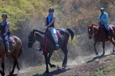 Campesino Trails & Gulf Views Horseback Costa Rica