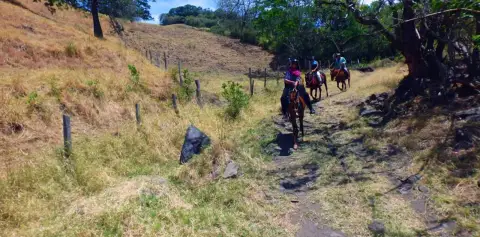 Horseback Riding Monteverde