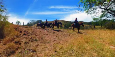 Riding Trails Monteverde Costa Rica