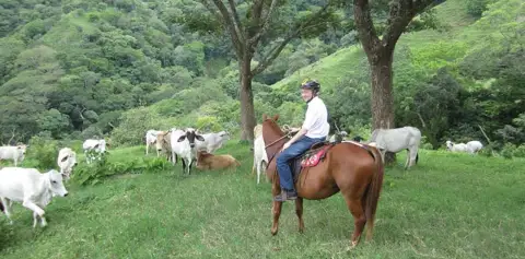 Horseback Ride Through Farm Country Monteverde