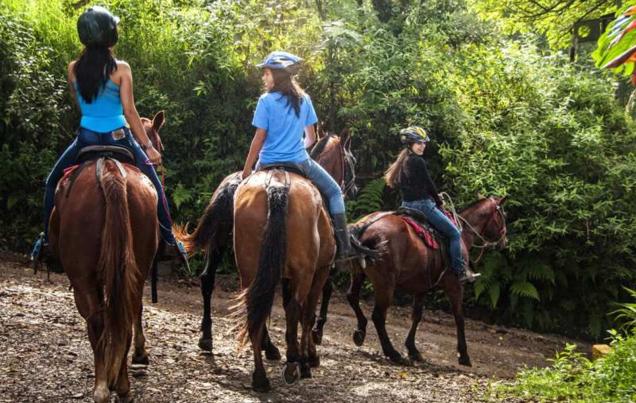 4 Days in Costa Rica Highlights Package