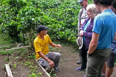 Monteverde Coffee Tour Costa Rica