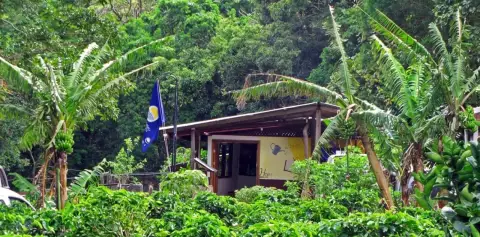 Monteverde Cafe at LIFE