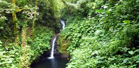 Waterfall in the Monteverde Cloud Forest Reserve surrounded by dense green forest