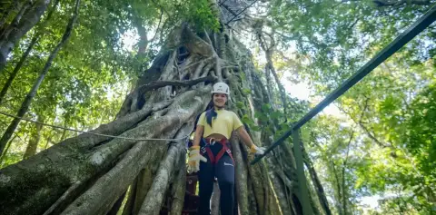 Original Canopy Tour Monteverde Costa Rica Canopy