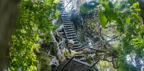 Original Canopy Tour Monteverde Costa Rica Canopy Treetop