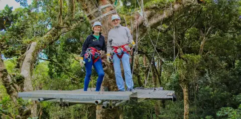 Original Canopy Tour Monteverde Costa Rica Canopy Platform