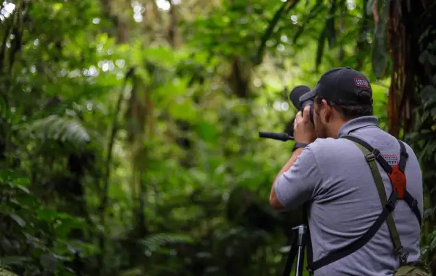 Santa Elena Cloud Forest Reserve Costa Rica