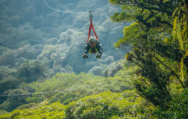 4 Day Whistle-Stop Excitement in Costa Rica